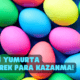 Renkli Yumurta Üreterek Para Kazanma! Yüksek Kazançlı İş Fikri